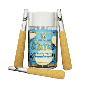 VANILLA COOKIES | INDICA