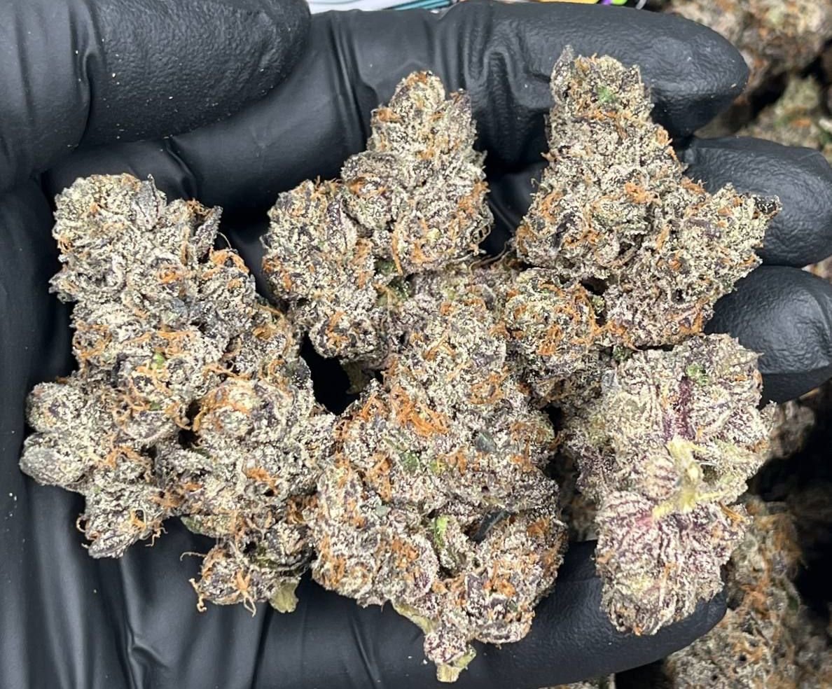 PURPLE ZLUSHIE